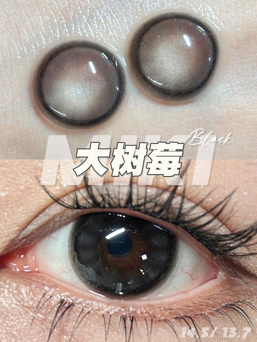 MIKI BLACK 大树莓【日抛】 商品图0