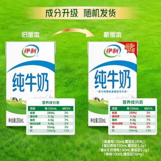 伊利 纯牛奶 250ml*16盒/箱 商品图2