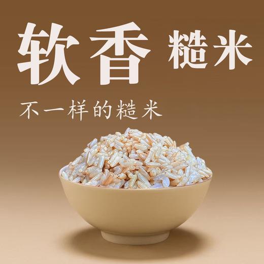 【同行精选】软香糙米1斤/5斤  老稻种糙米  皮薄软糯  营养留存 商品图0