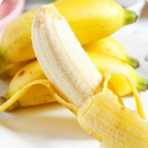 新鲜皇帝蕉个头小小蕉型饱满果香怡人香甜软糯现摘现发一次一根好吃不腻 商品图4