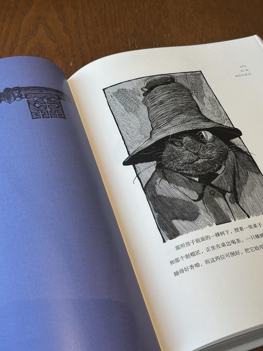 【梦境蓝山羊皮定制款】《爱丽丝漫游奇境与穿越镜中世界》书口三面鎏金+雕刻图案，赠送译者签名钤印书票 商品图11