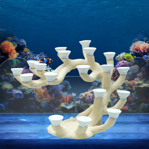 50缸枝状烧制造景 商品图5