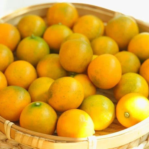 融安滑皮金桔二代 长在树上的“小糖炮”，从皮甜到心，水嫩香甜不涩口，连皮一起吃，水嫩香甜不涩 商品图9