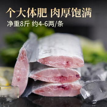 鱻谣北纬29-30°东海大号油带鱼礼盒净重8斤 单条4-6两 海鲜源头直发 商品图4