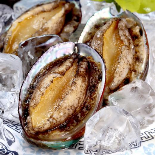 海岛之星 液氮速冻10头鲍鱼 10粒装*2 商品图2