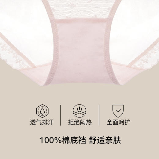 【满4条/7.5折】（中版）【秀黛】女时尚蕾丝三角裤女士内裤【1条】W5333019T【门店同款】【内裤非质量问题不退换，介意勿拍】 商品图2
