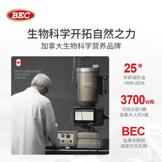 BEC轻脂海豹油4瓶|1颗顶10颗鱼油！养出好精力/皮肤/秀发/骨骼 商品图3