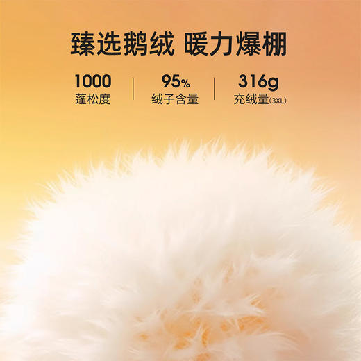 +【乐粉专属】[1000蓬云暖]思凯乐鹅绒羽绒服男女短款加厚2026深冬巨好看外套F6115542/F6105542 商品图2