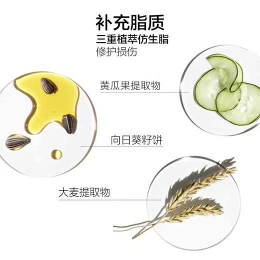 【精选】倩碧卓越润肤乳液随行装（有油黄油）滋润型乳液面霜 维稳修护皮脂膜 补水保湿 水油平30ml 商品图3