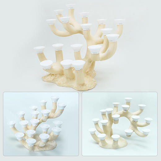 40-45缸枝状烧制造景 商品图8