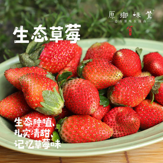 【买赠，实发1.15-1.2公斤】大理生态草莓（基地直发-顺丰空运包邮）| 2斤/箱，来自云南大理，生产者：高海斌（合作生产，公平贸易） 商品图0