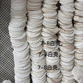 50片 烧烤扇贝壳饭店家用用白色空壳烧烤蒜蓉粉丝贝（自然产品不完美）