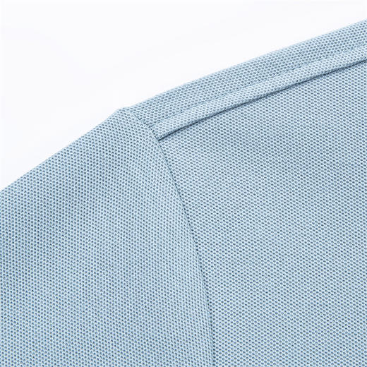 罗蒙男士春秋假两件长袖Polo衫纯色翻领百搭休闲通勤男上衣 商品图6