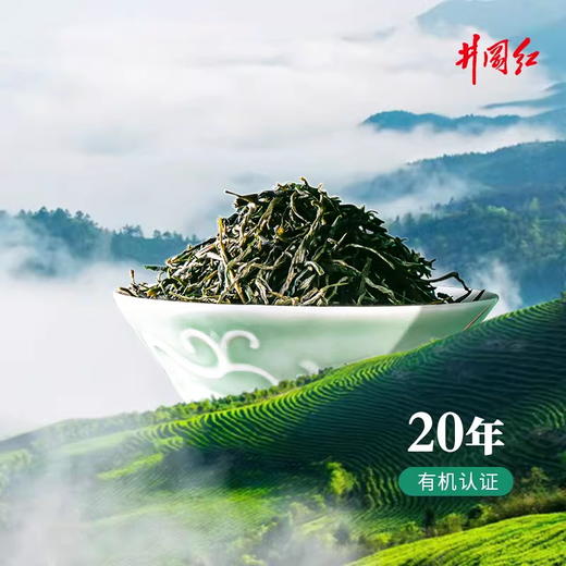 井冈红茶叶2025头采新茶崖雾高山有机绿茶150g礼盒装 豆香浓郁 商品图4