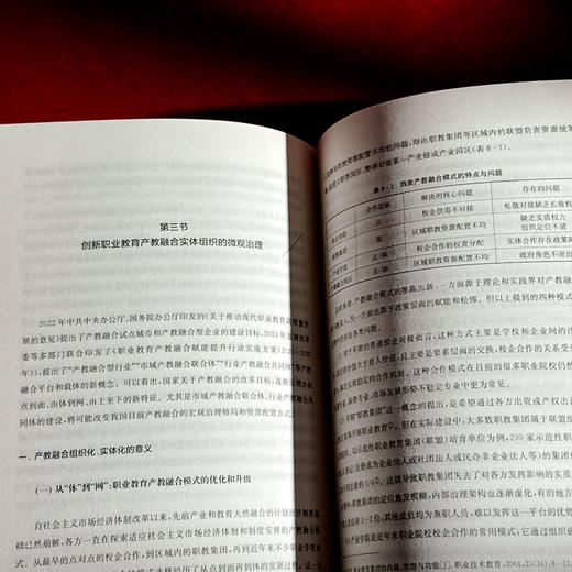 职业教育如何服务发展：理论建构、省域实践与改革路径 商品图4