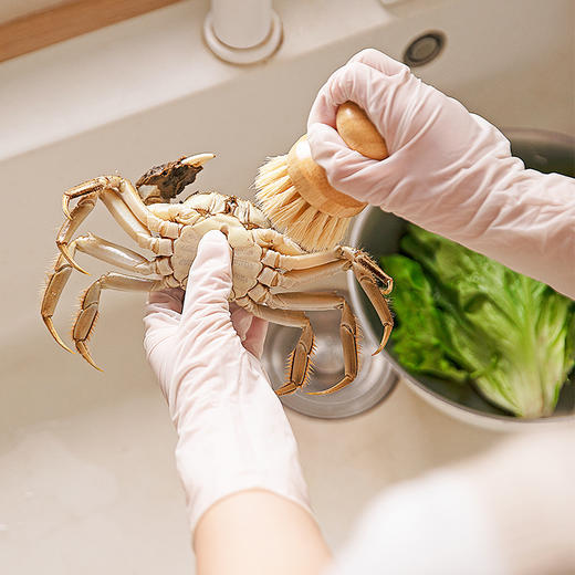 摩登主妇丁腈手套食品级一次性洗碗家务厨房专用清洁防水耐用手套 商品图2