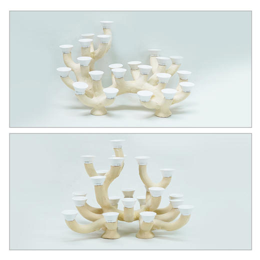 40-45缸枝状烧制造景 商品图2