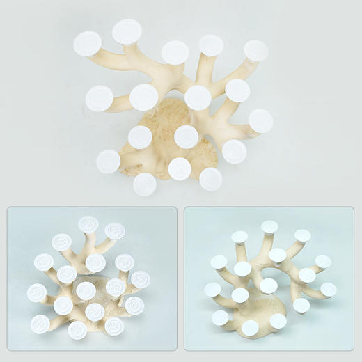 40-45缸枝状烧制造景 商品图9