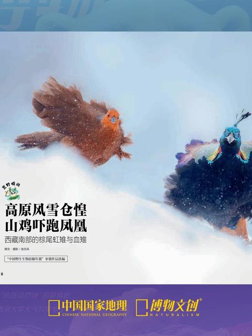 博物杂志 2026年2月刊 北极 商品图3