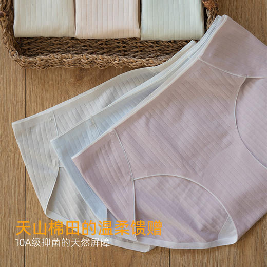 靴下物10A抑菌内裤女士纯棉全棉舒适透气三角短裤中腰 商品图0