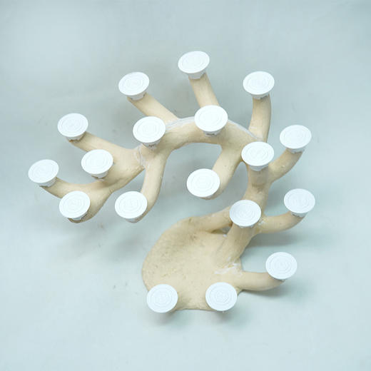 50缸枝状烧制造景 商品图9