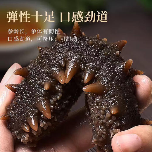 热卖中！！【春节不打烊】【顺丰直发】忘舌特级鲜食海参 6-8头免泡发 500g/包 商品图5