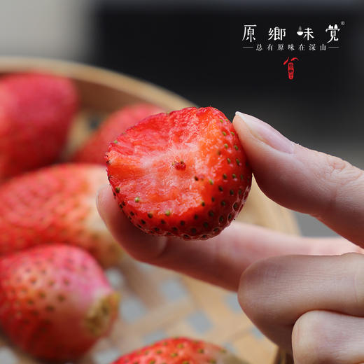 【买赠，实发1.15-1.2公斤】大理生态草莓（基地直发-顺丰空运包邮）| 2斤/箱，来自云南大理，生产者：高海斌（合作生产，公平贸易） 商品图5