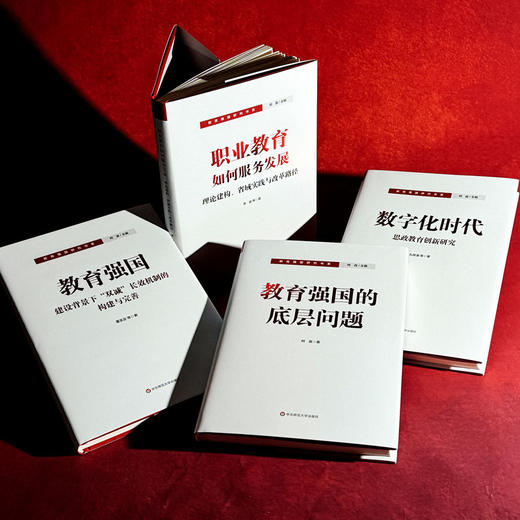 教育强国研究书系 教育强国的底层问题“双减”长效机制的构建与完善 数字化时代思政教育创新研究 职业教育如何服务发展 商品图3