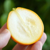 【顺丰发货！】融安脆蜜金柑三代 皮脆肉嫩，多汁纯甜；直接带皮吃，甜似蜜糖；果皮薄，果肉质地柔软，口感鲜美 维C满满 商品缩略图2