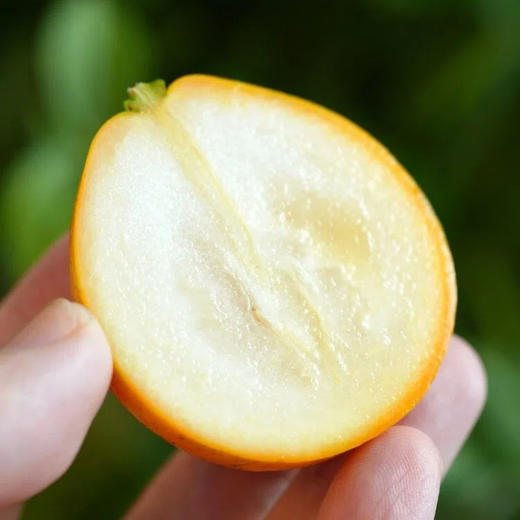【顺丰发货！】融安脆蜜金柑三代 皮脆肉嫩，多汁纯甜；直接带皮吃，甜似蜜糖；果皮薄，果肉质地柔软，口感鲜美 维C满满 商品图2