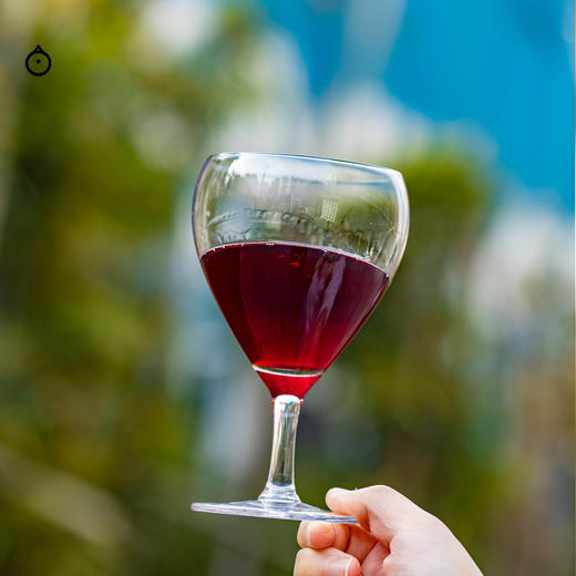 企鹅市集|沫契酿造 水果蜜酒2026冰馏版本 樱桃草莓香草果酱香 商品图6