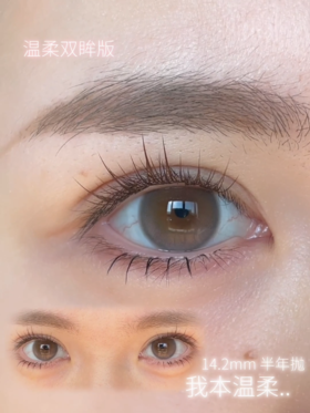 recolook 我本温柔 棕 14.2mm 半年抛