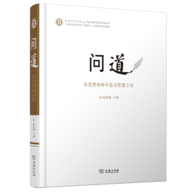 问道：在思想密林中追寻智慧之光(中西哲学比较与文明史研究丛书)