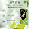 TS帝叶斯柔美染发膏 植萃提取 三效合一 染发+护发 温和不刺激 一梳即染  商品缩略图1