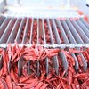 出口级的辣椒 真正无农残 安全放心 产地直采 辣味醇厚 香气浓郁 严苛标准 0829|百里食 商品缩略图4