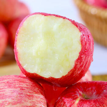 京觅洛川红富士苹果 12枚单果235g+新鲜水果生鲜脆甜团购送礼源头直发 商品图0