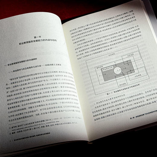 职业教育如何服务发展：理论建构、省域实践与改革路径 商品图1
