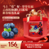 菜头商城 云南澄江抚仙湖L25花香蓝莓新春限定礼盒（顺丰空运） 商品缩略图0