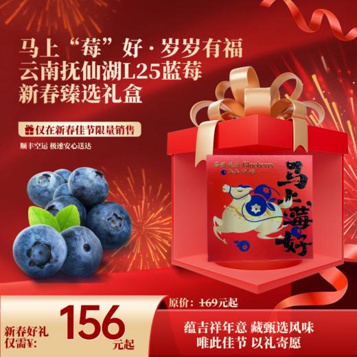 菜头商城 云南澄江抚仙湖L25花香蓝莓新春限定礼盒（顺丰空运） 商品图0