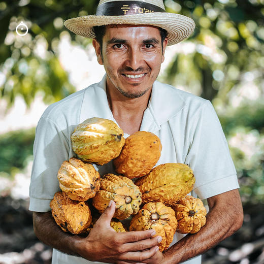 企鹅市集|厄瓜多尔TO'AK巧克力toak mini小片巧克力 花生/爆米花/薄荷/森林坚果增味黑巧 商品图3