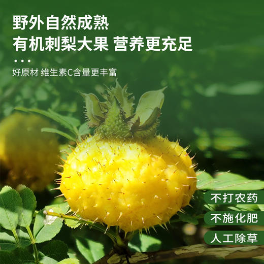 有机刺梨原汁502ml*10瓶/盒 商品图4