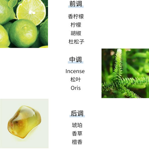 【保税仓】Byredo 百瑞德 流浪者之歌浓香水100ml 商品图2