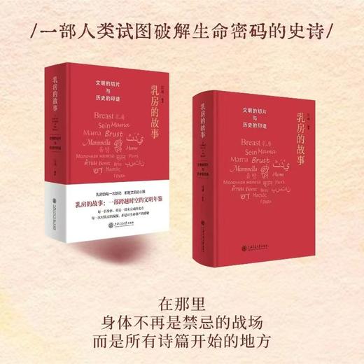 乳房的故事 商品图7