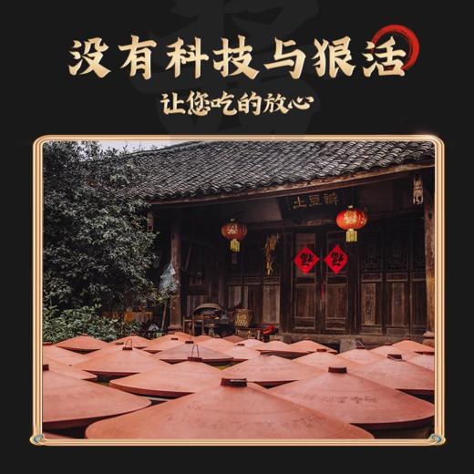 乐山非遗土主豆瓣 古法发酵 川味烹饪必备 四重发酵老缸酿 酱香醇厚辣而不燥 商品图3