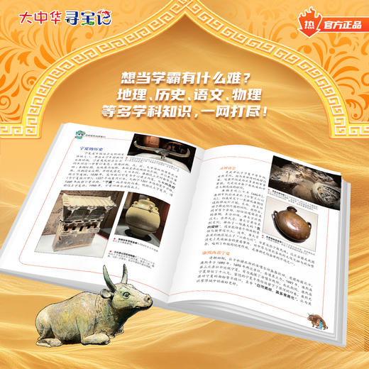 【新书】大中华寻宝记系列宁夏寻宝记大中国趣味地理历史科普书漫画书自然科学百科书 商品图7