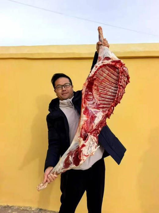 冰川羊，环境纯净品种优良，0膻味 商品图3