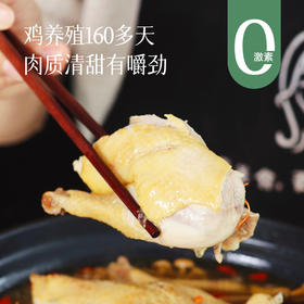 【日常和年夜饭餐桌上的抢手菜】【国家地理标志保护产品】清远鸡2只  原生态自然放养   现抓现宰发出 肉质鲜嫩 炖炒都好吃  炖汤鲜爽  可全家共享整鸡系列~