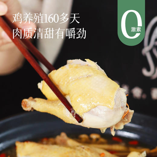 【日常和年夜饭餐桌上的抢手菜】【国家地理标志保护产品】清远鸡2只  原生态自然放养   现抓现宰发出 肉质鲜嫩 炖炒都好吃  炖汤鲜爽  可全家共享整鸡系列~ 商品图0