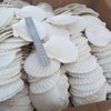 50片 烧烤扇贝壳饭店家用用白色空壳烧烤蒜蓉粉丝贝（自然产品不完美） 商品缩略图1
