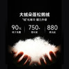 +【乐粉专属】SCALER鹅绒思凯乐羽绒服女冬户外防风轻量化保暖外套冲锋衣内胆男F6114526/F6104526 商品缩略图3